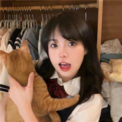 哈里·蒙特